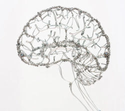 Wire brain